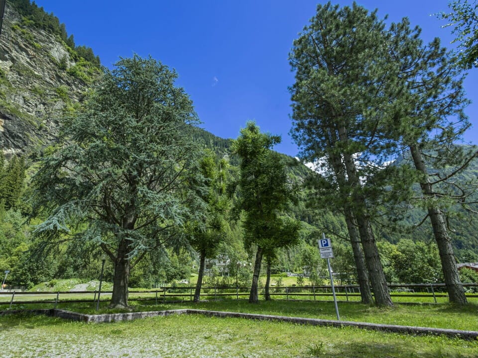 Tree, Mountainous Landforms, Mountain, Hill, Mountain Range, Hill Station, Forest, Valley, Larch, Evergreen