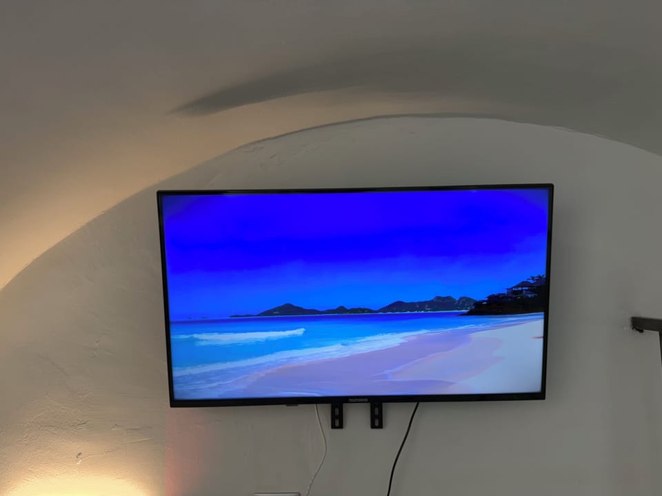 Television