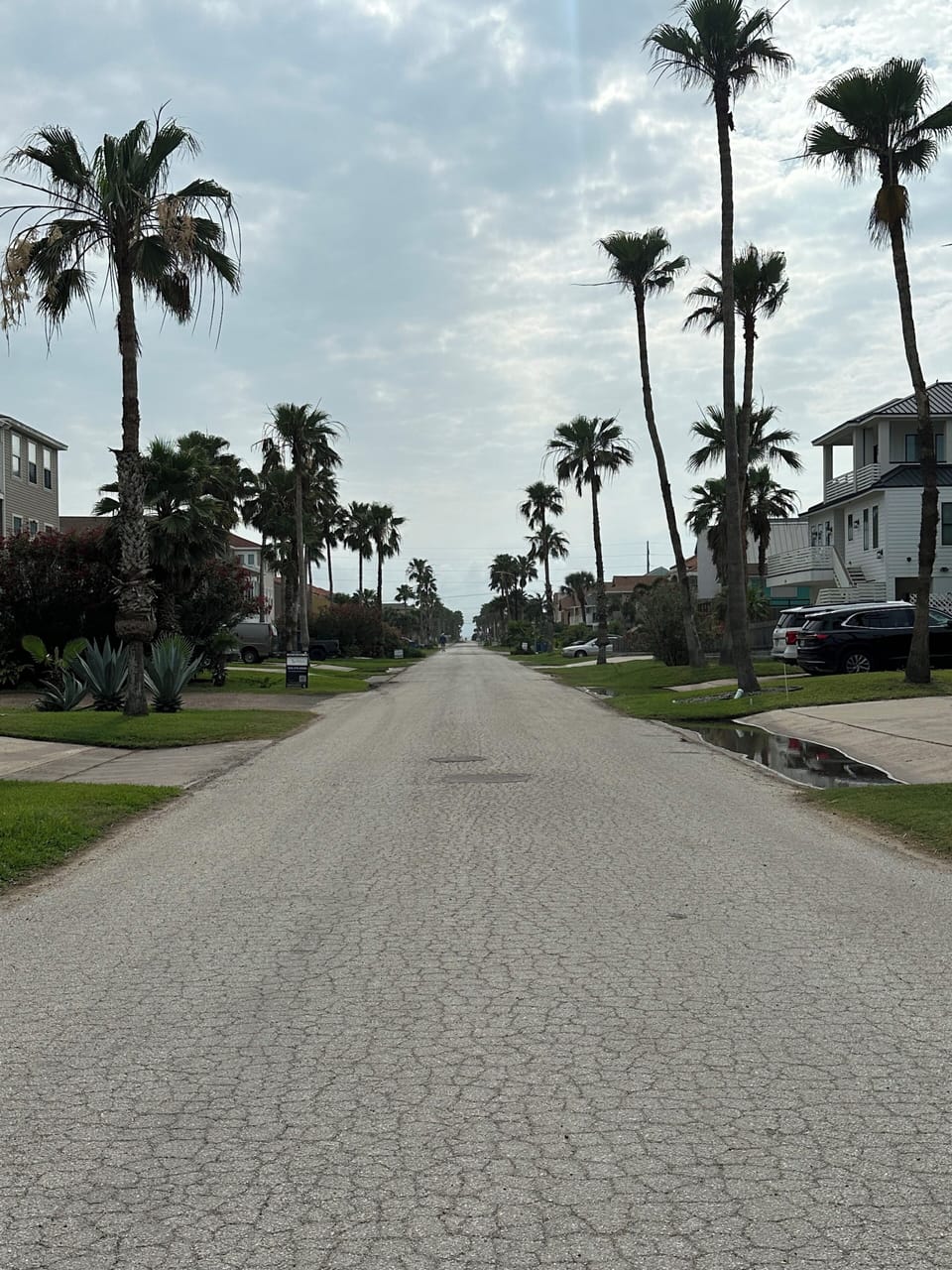 Street view from condo to east