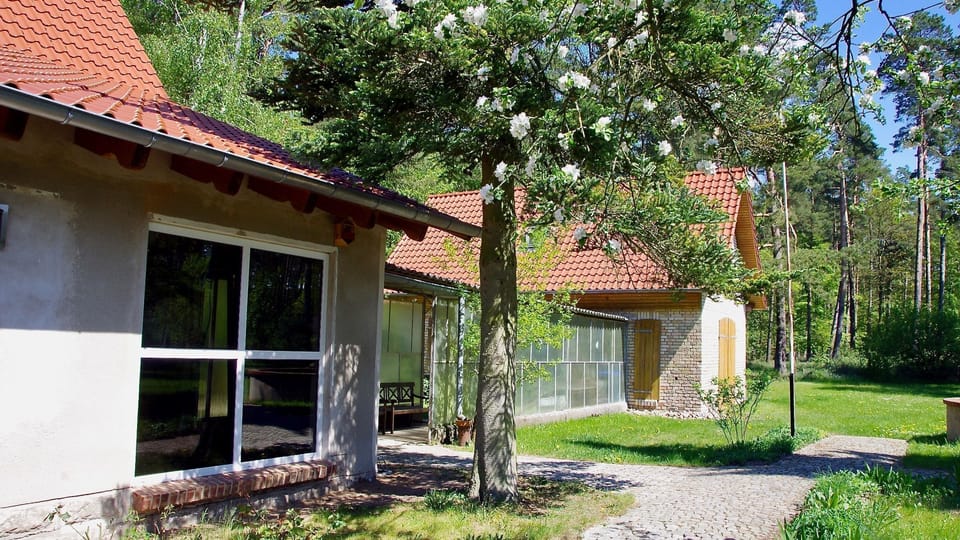 Vacation home Am Wald - Am Wald House in Mecklenburgische Seenplatte