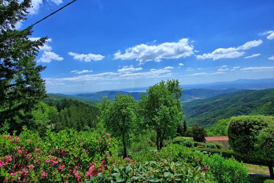Scenic View
