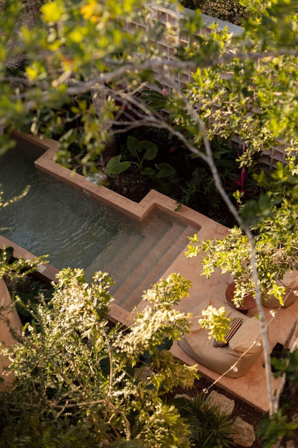 Spectacular pool surrounded by vegetation