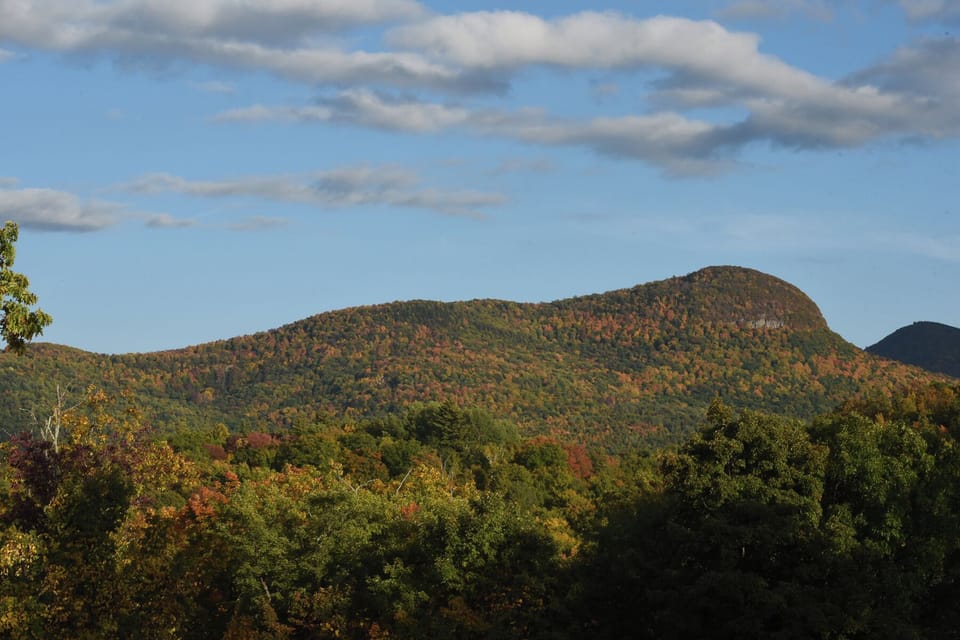 Outside your window - Bird Mountain