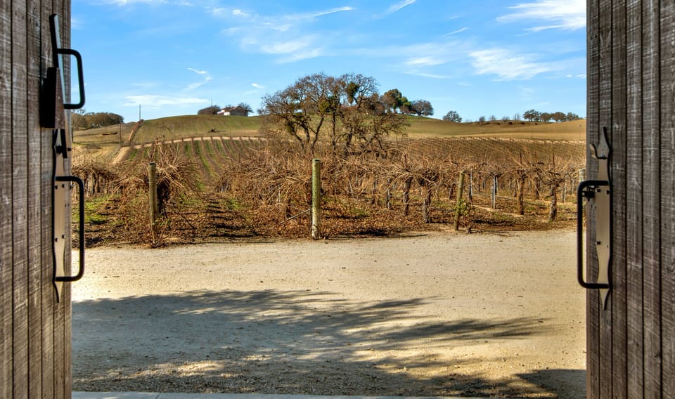 The view of Francis James Vineyard from the barn. (2)