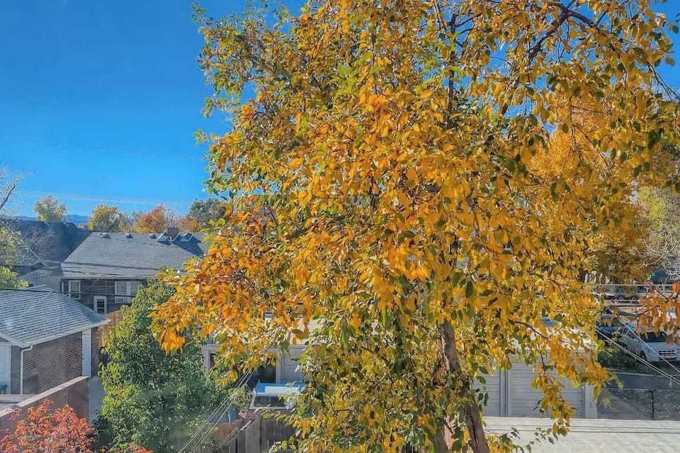 Your unit faces Westward, so many of your large windows will show the beautiful mountains