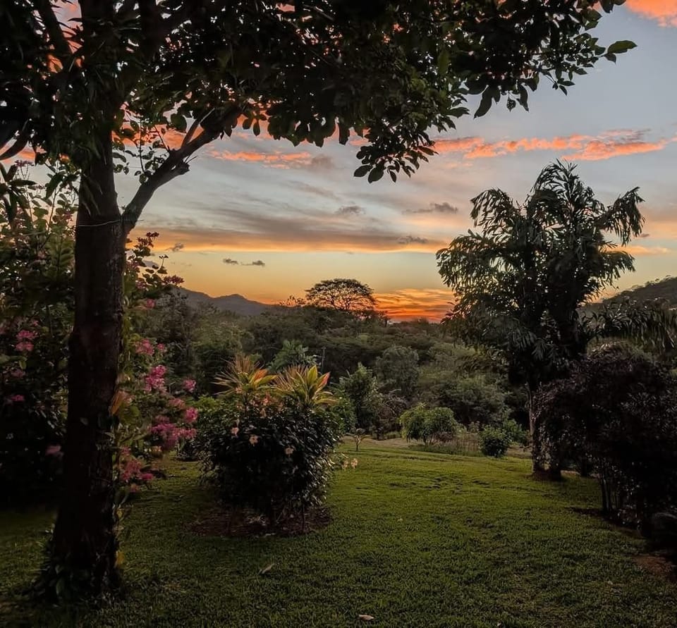 the garden is for your enjoyment and the sunsets for your amazement