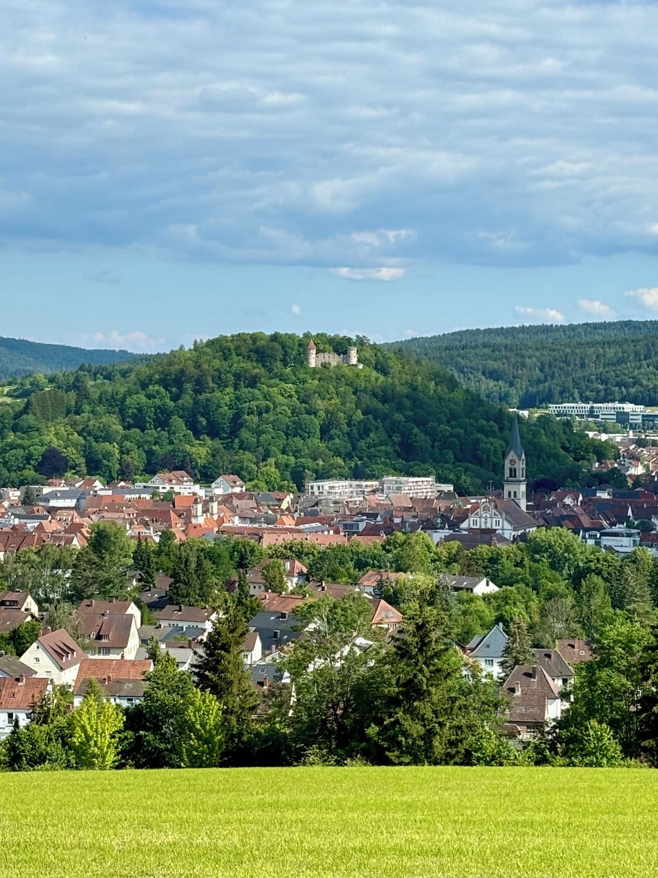 View from the path above the house onto the city of Tuttlingen