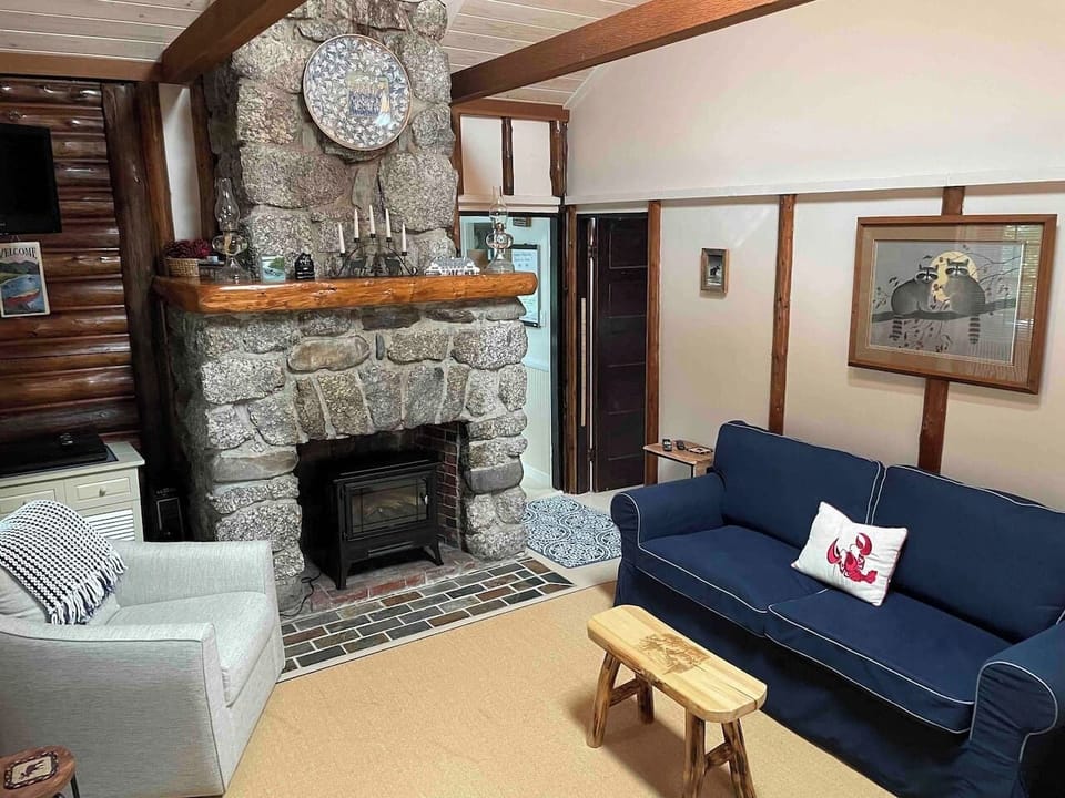 Living room with electric fireplace.