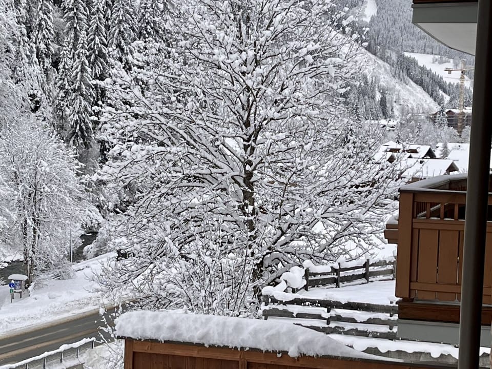 View from Holiday Home [winter]