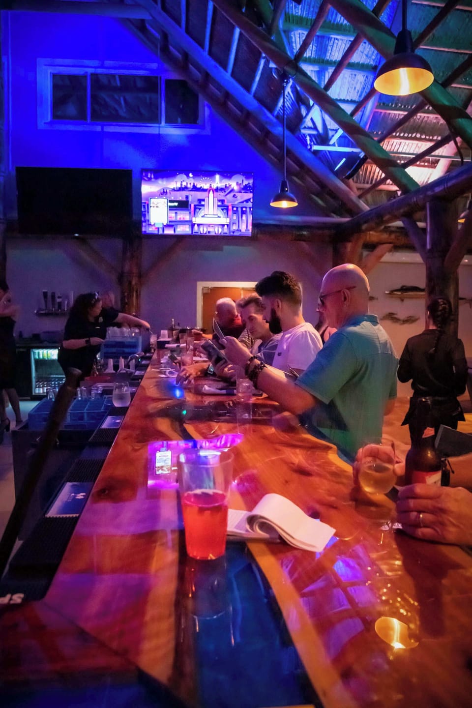 Dolphins Bar