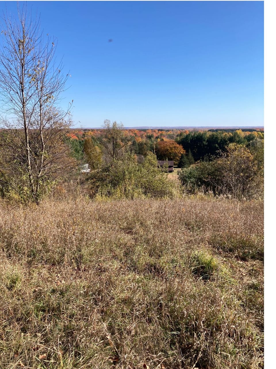 View from the highest point on the property.