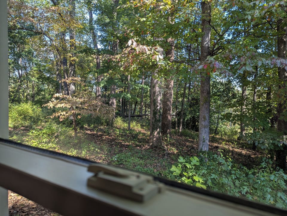 View from property