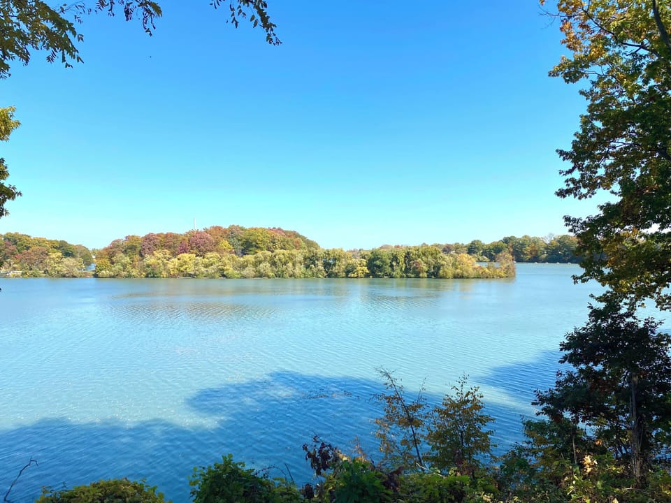 View across our street.
