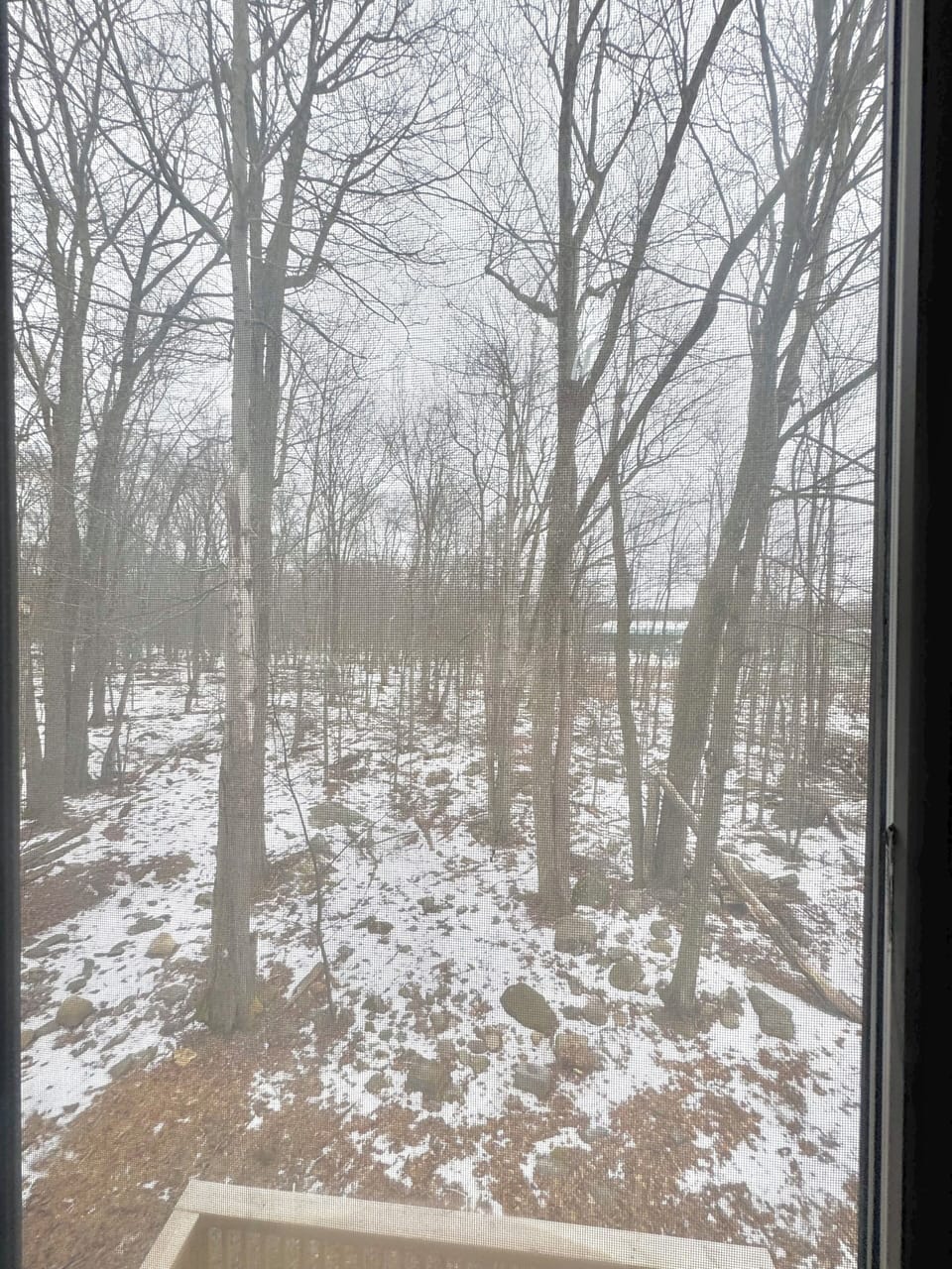 View from property