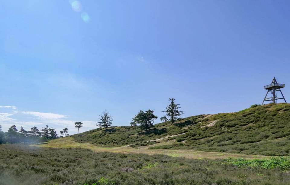 area