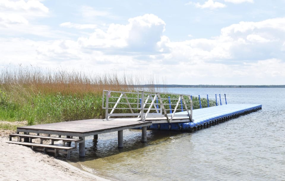 area