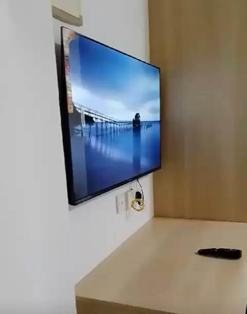 Television