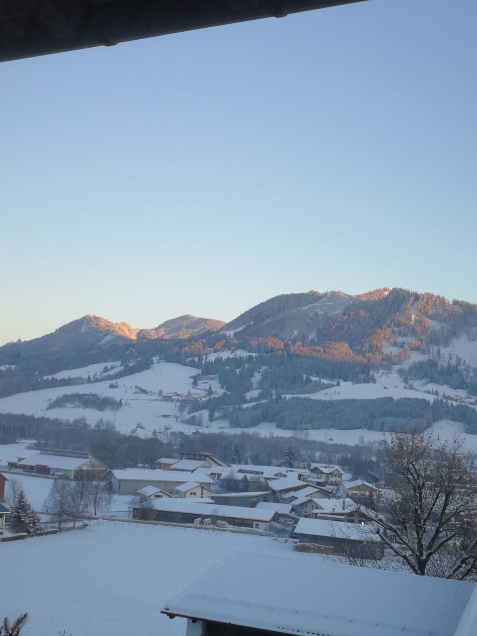 View from property