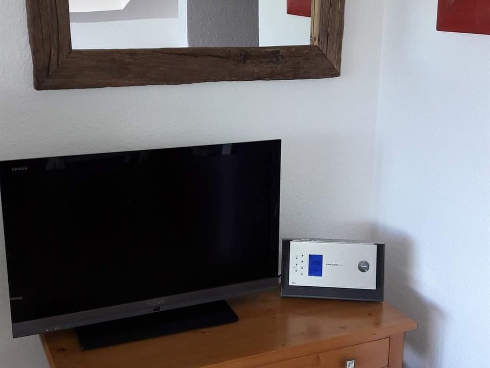 Television