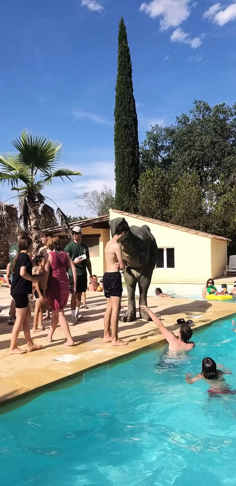 Pool