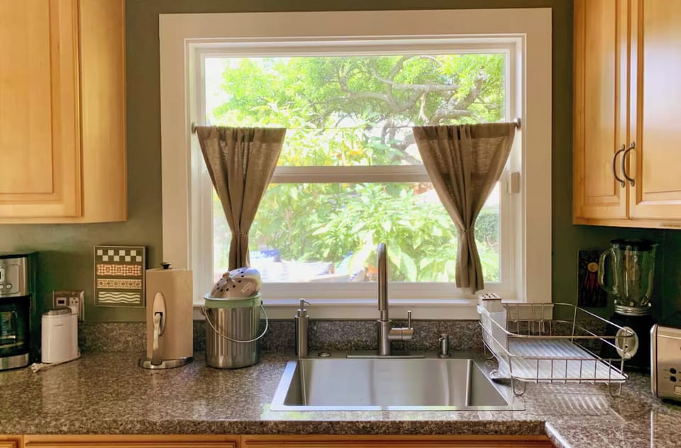 Kitchen window looks into garden