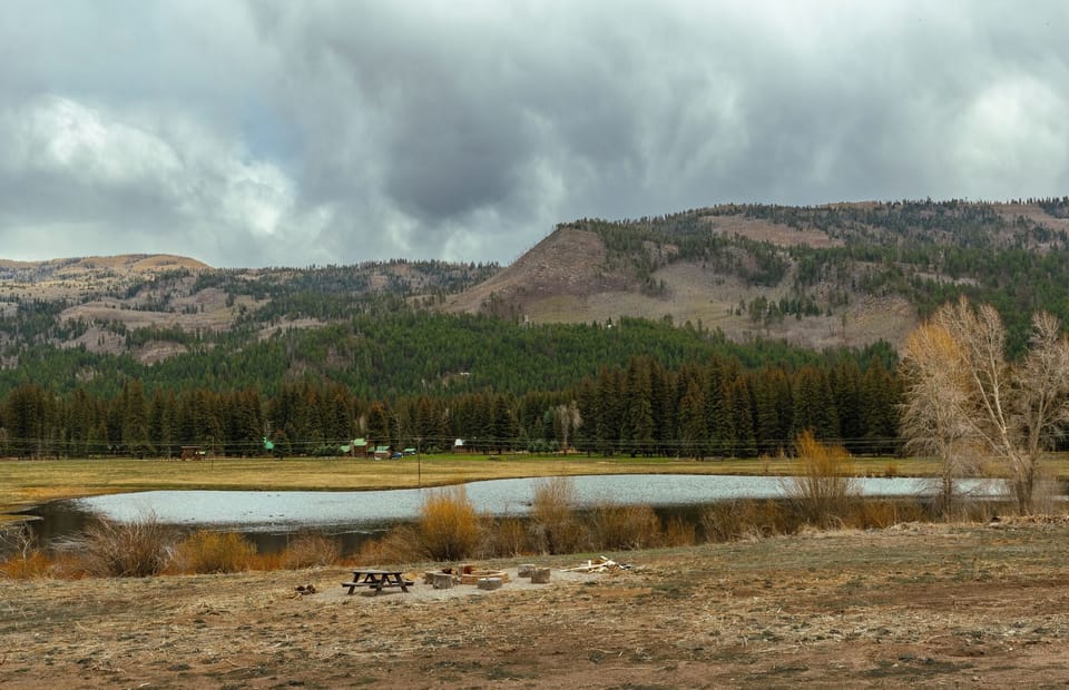 Pond