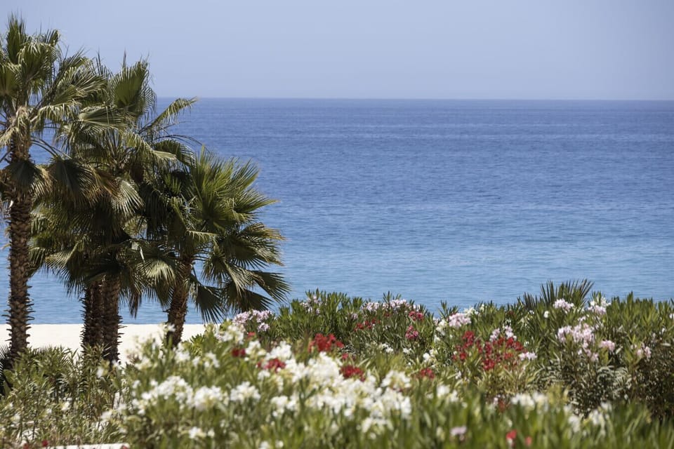 A cinematic shot of the bright blue sea peeking through palm fronds and blooming white and pink flowers.