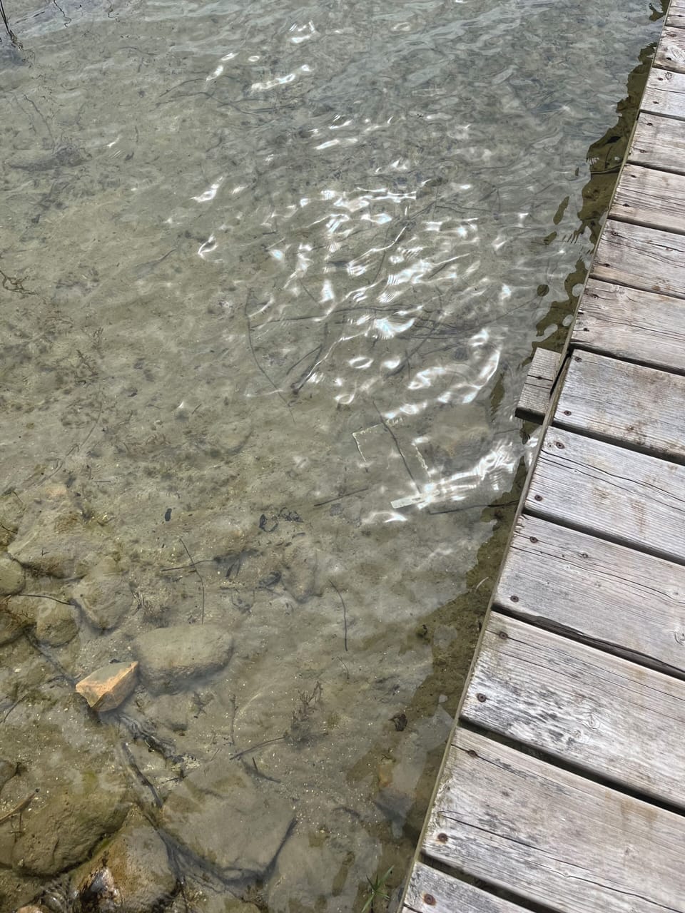 Shallow water with gradual slope great for little kids Boathouse