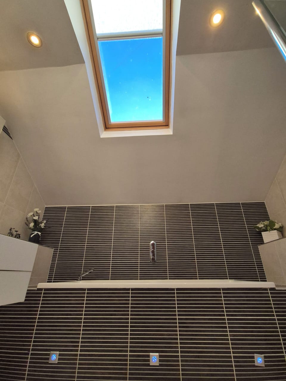 Bathtub with sky light window