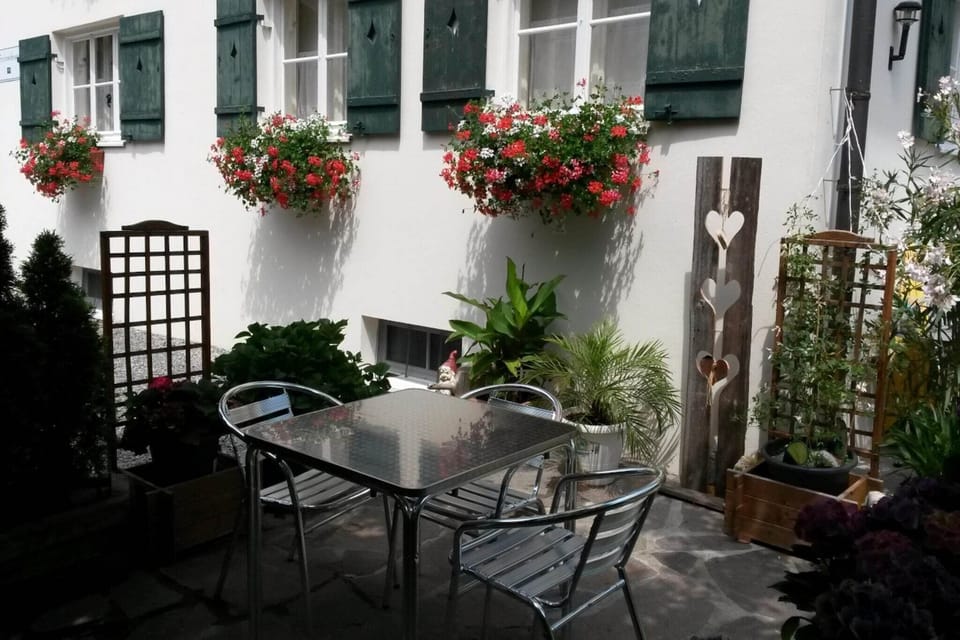 Garden [summer]