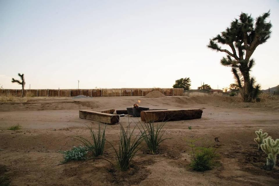 Firepit and your own Joshua Tree :)