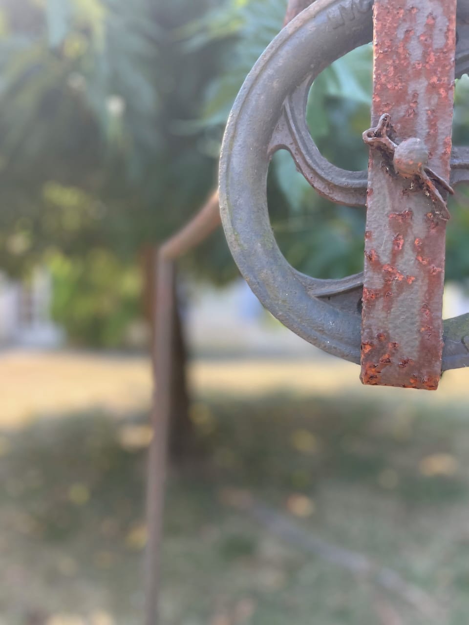 Miscellaneous