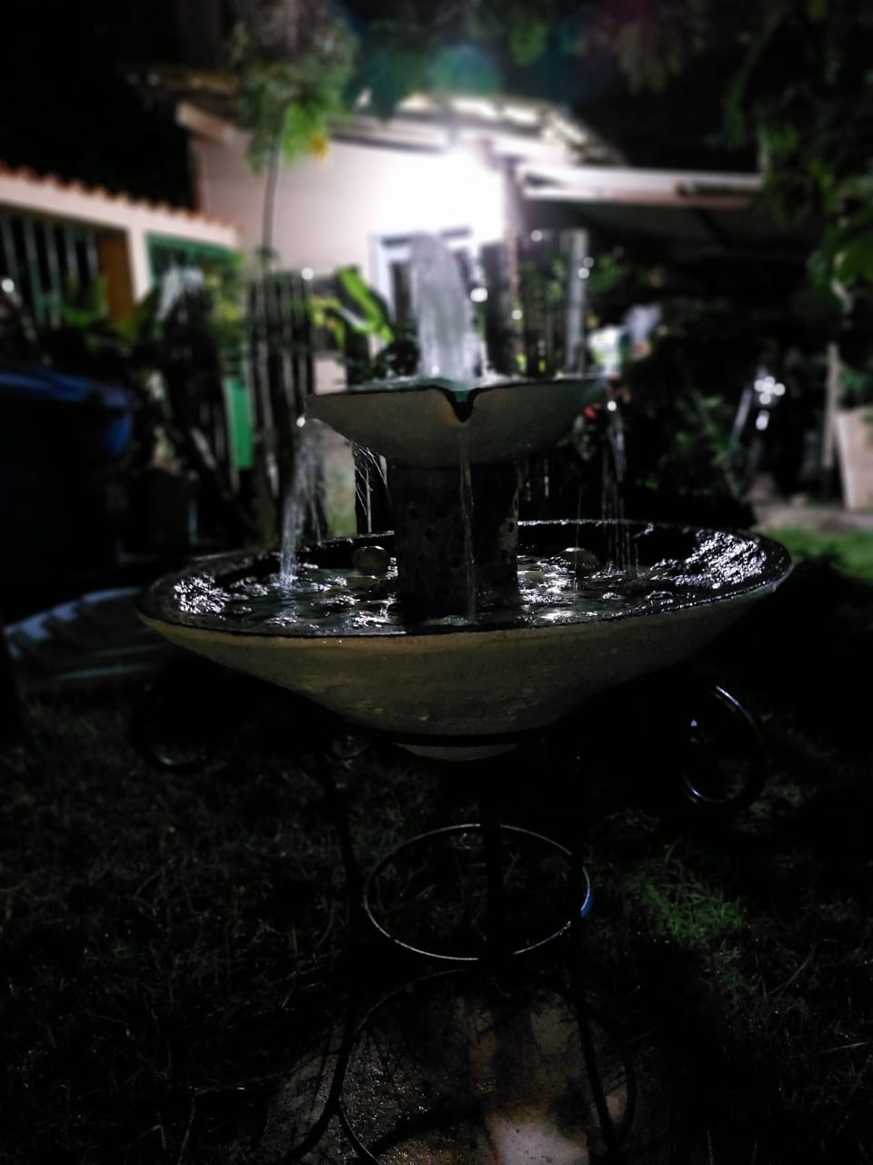 Miscellaneous