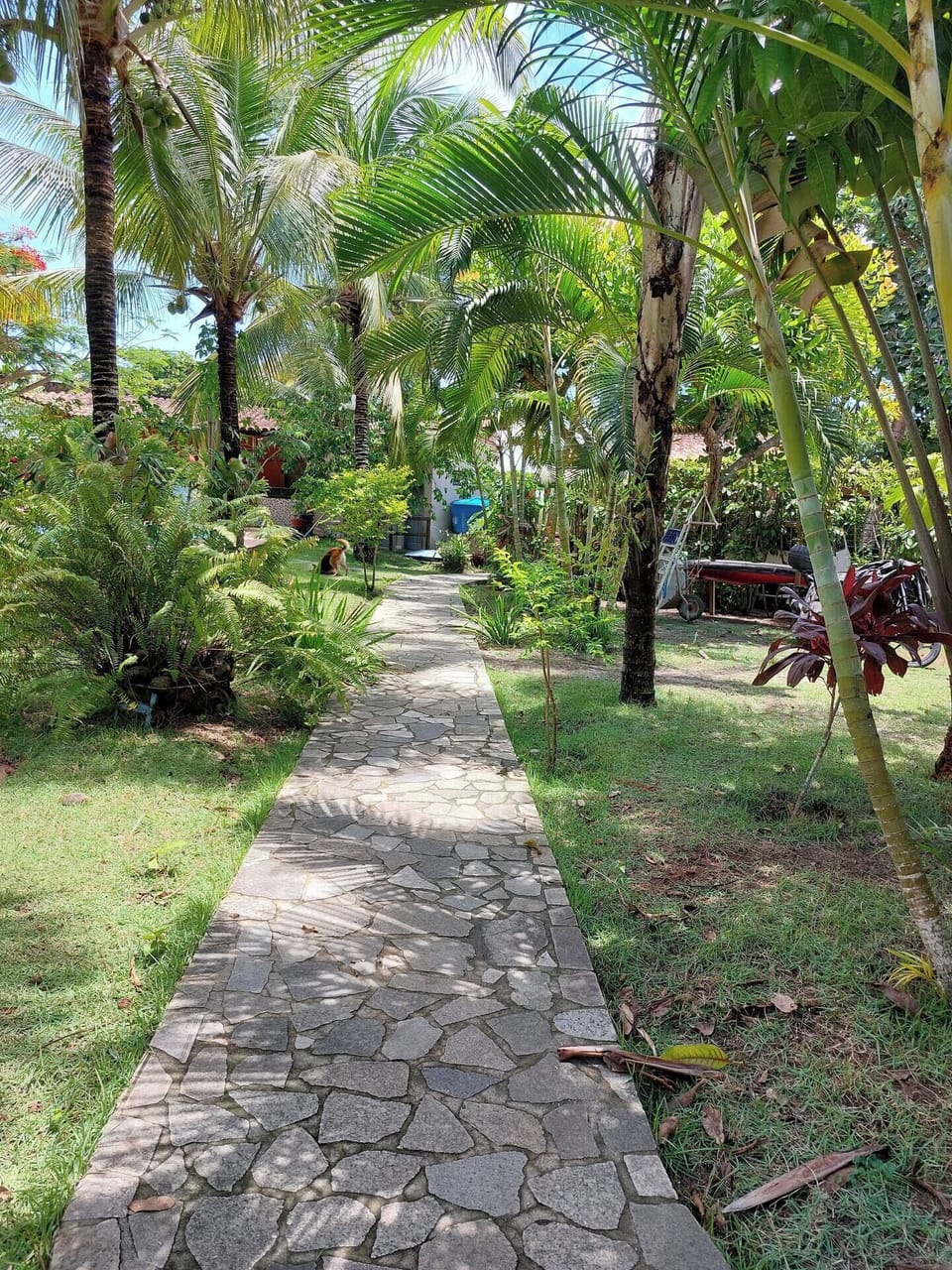 Property grounds