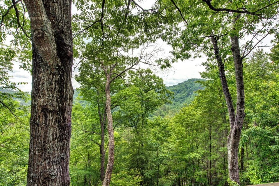 Views from Hatcher Top Hideout's spacious decks