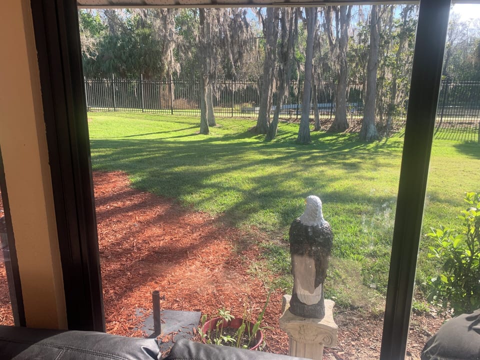 view from lanai