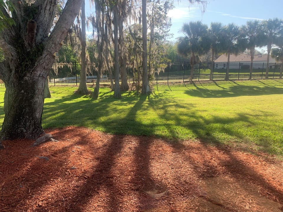 3rd tee of nearby championship course