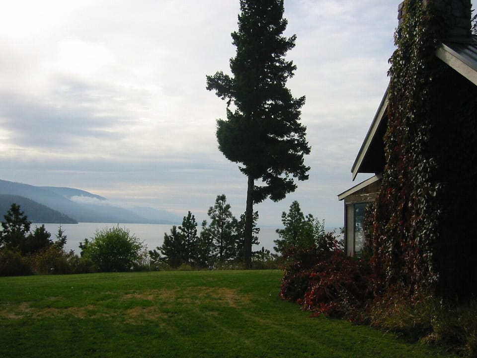 Yard for BBQs and yard games