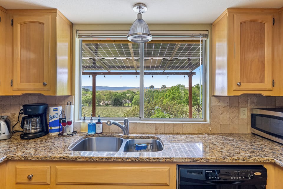 Kitchen vineyard views