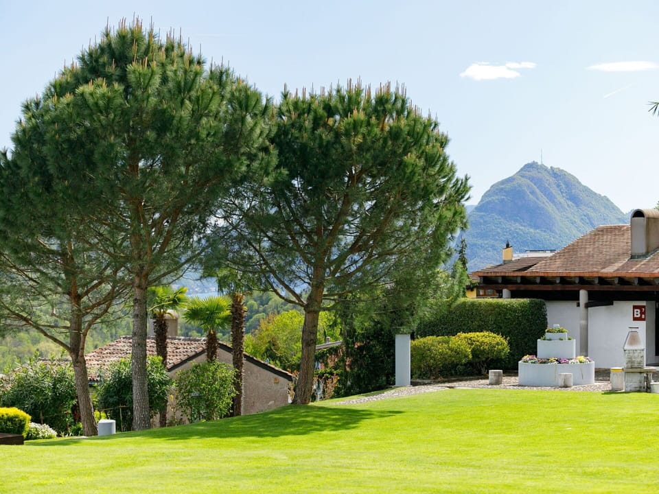 Tree, Landscape, Land Lot, Garden, Lawn, Woody Plant, Shade, Landscaping, Park, Yard