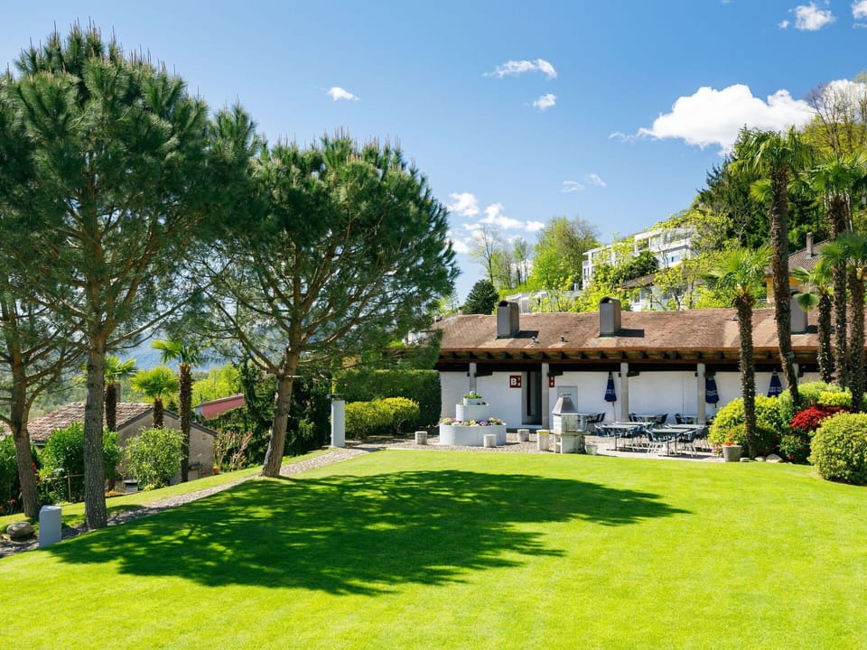 Shrub, Garden, Lawn, Shade, Landscaping, Yard, Park, Backyard, Villa, Hacienda