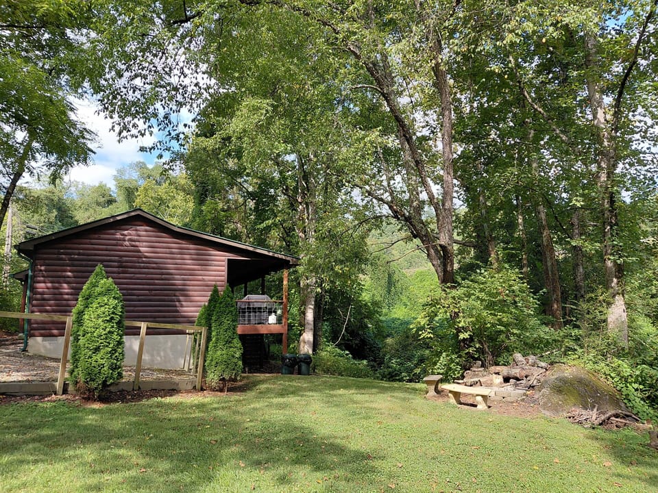 Ground-level view of the cabin surrounded by mature trees with an open grassy yard beside the creek. The private outdoor area showcases the peaceful Bryson City mountain setting.