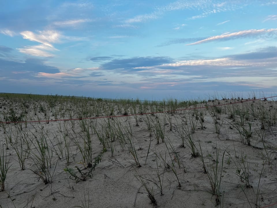 Photo of the Poppy Spit, a 5-10 minute walk from the house