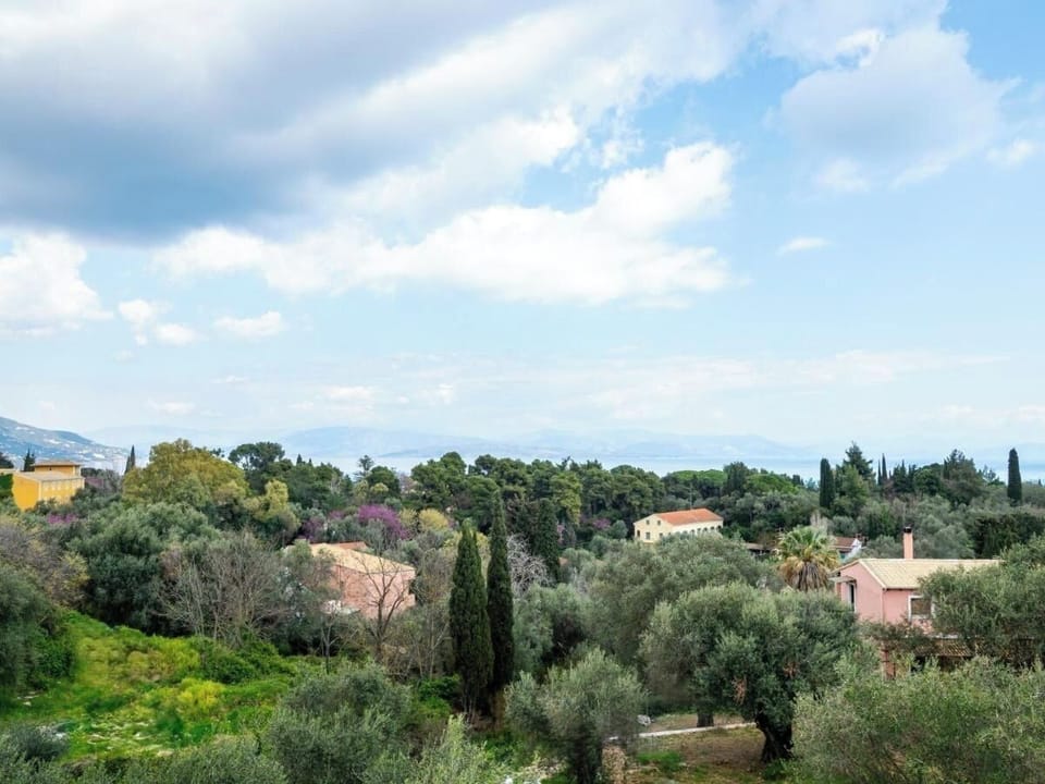 Once more, with a view of the mountains and the olive trees  
