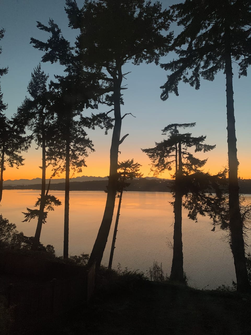 Harbor sunset views.