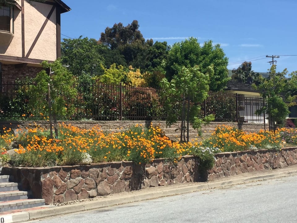 Or park on the street.