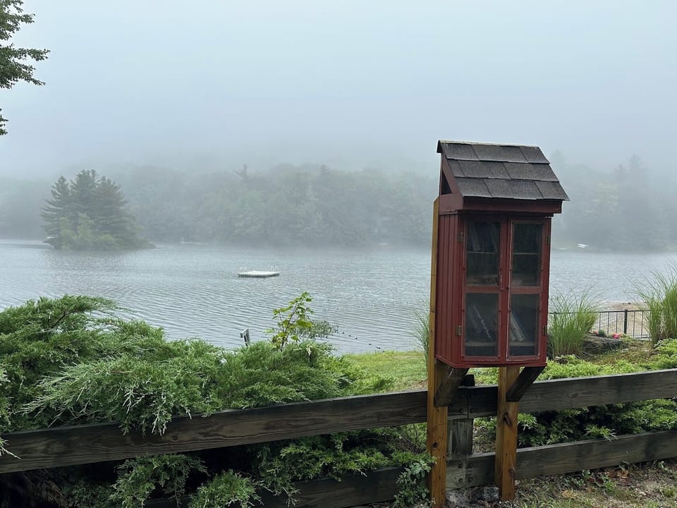 Foggy morning