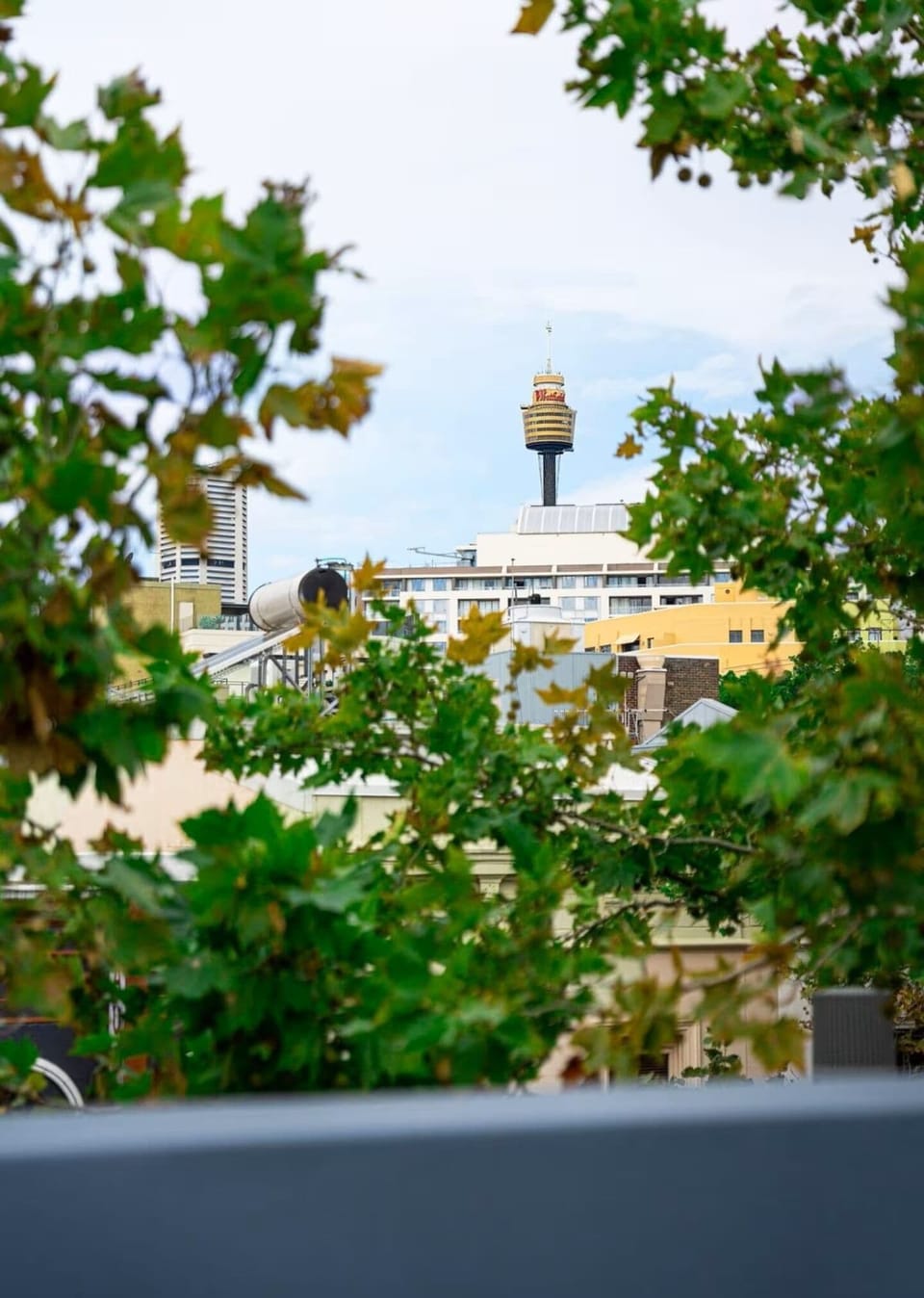 View from property