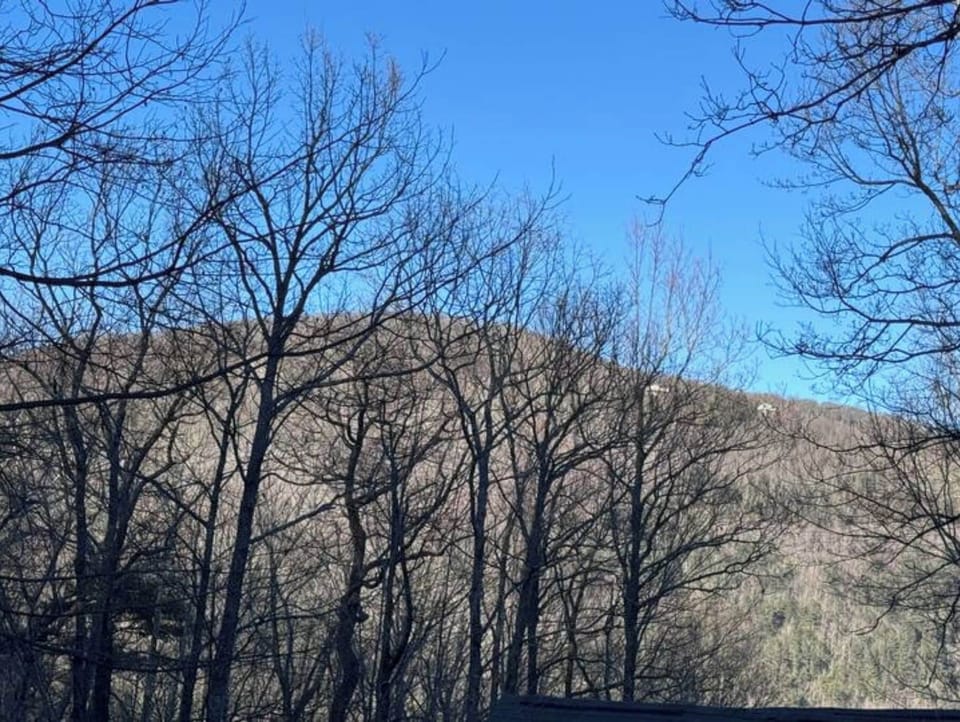 Mountain view from back deck