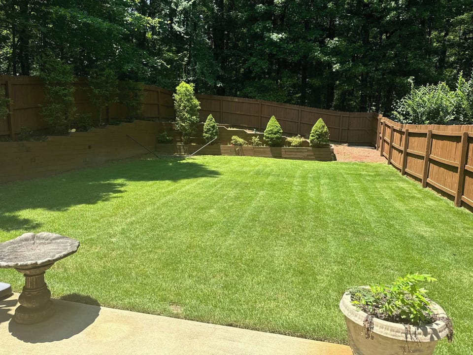 Back Yard!  Private and lush.